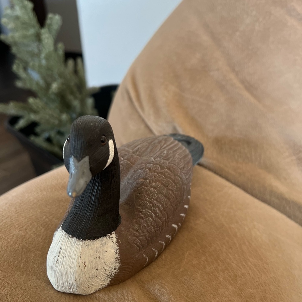 Canadian Goose
